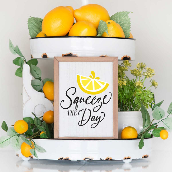 Squeeze The Day SVG Cut File